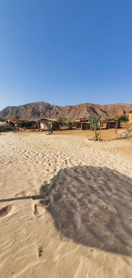 Diana Beach Camp Hotell Nuweiba` Exteriör bild